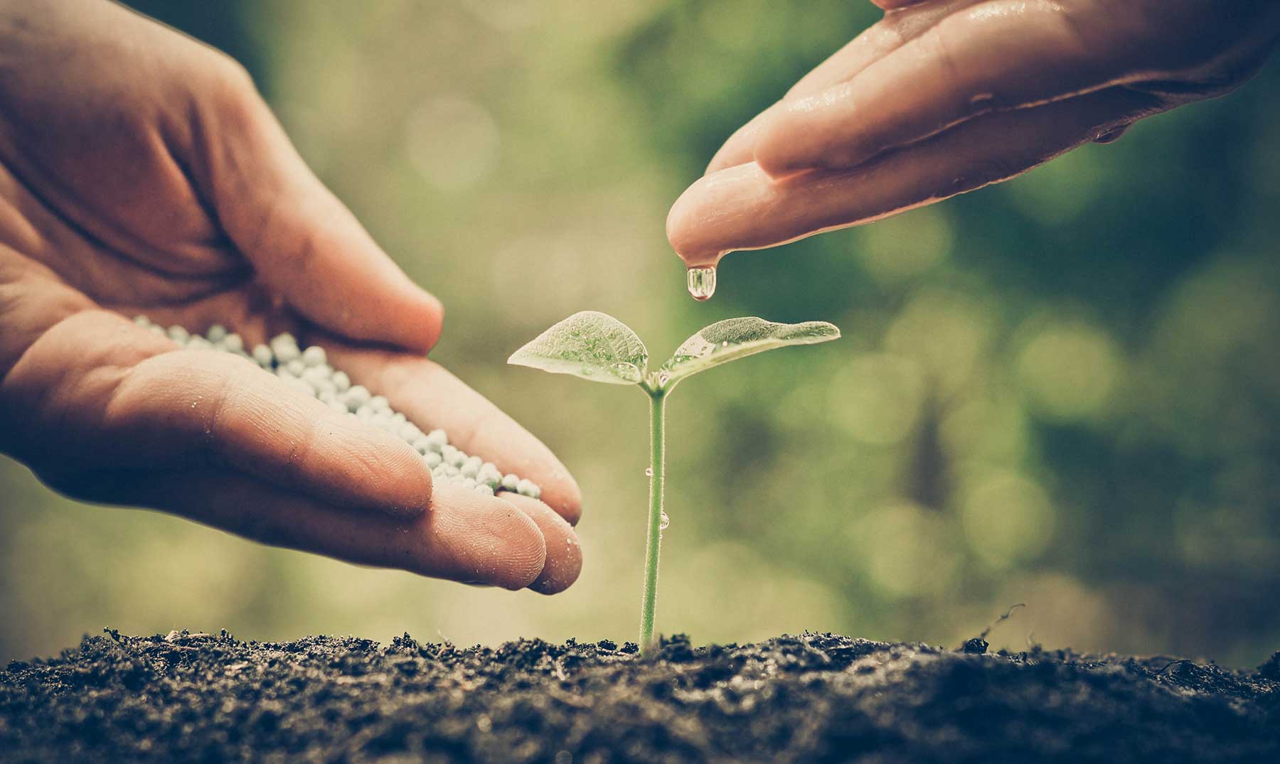 GrowPro-Experience-Comprometidos-con-nuestro-Planeta
